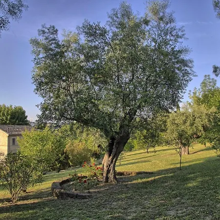 Belvilla By Oyo Della Musica * Ostra